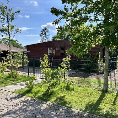 Vrijstaand Chalet Met Veel Buitenruimte En Veranda Zuid-Scharwoude 外观 照片